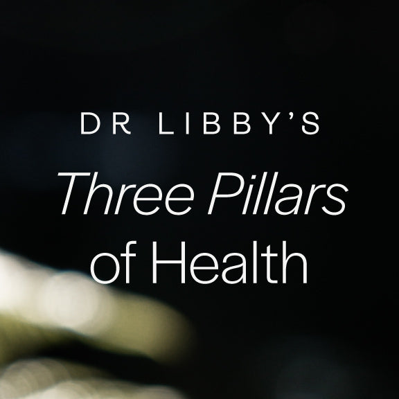 Dr Libby's Three Pillars of Health