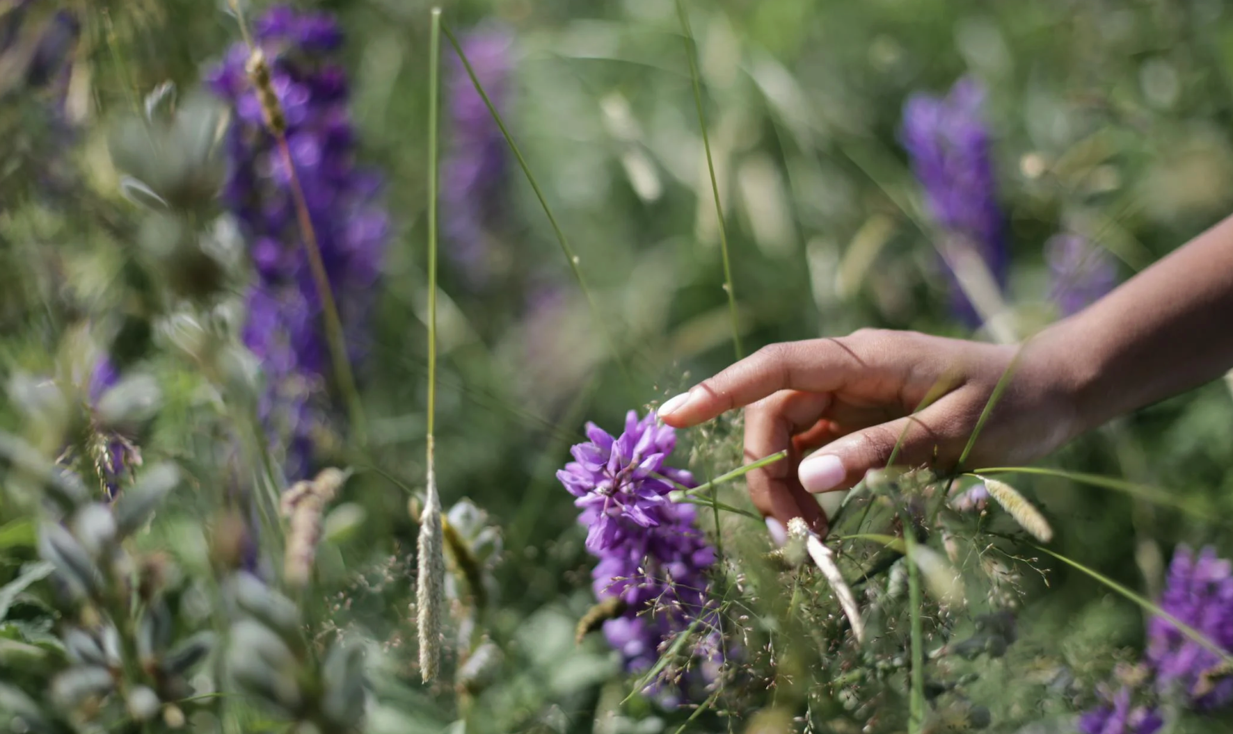 What you need to know about cholesterol