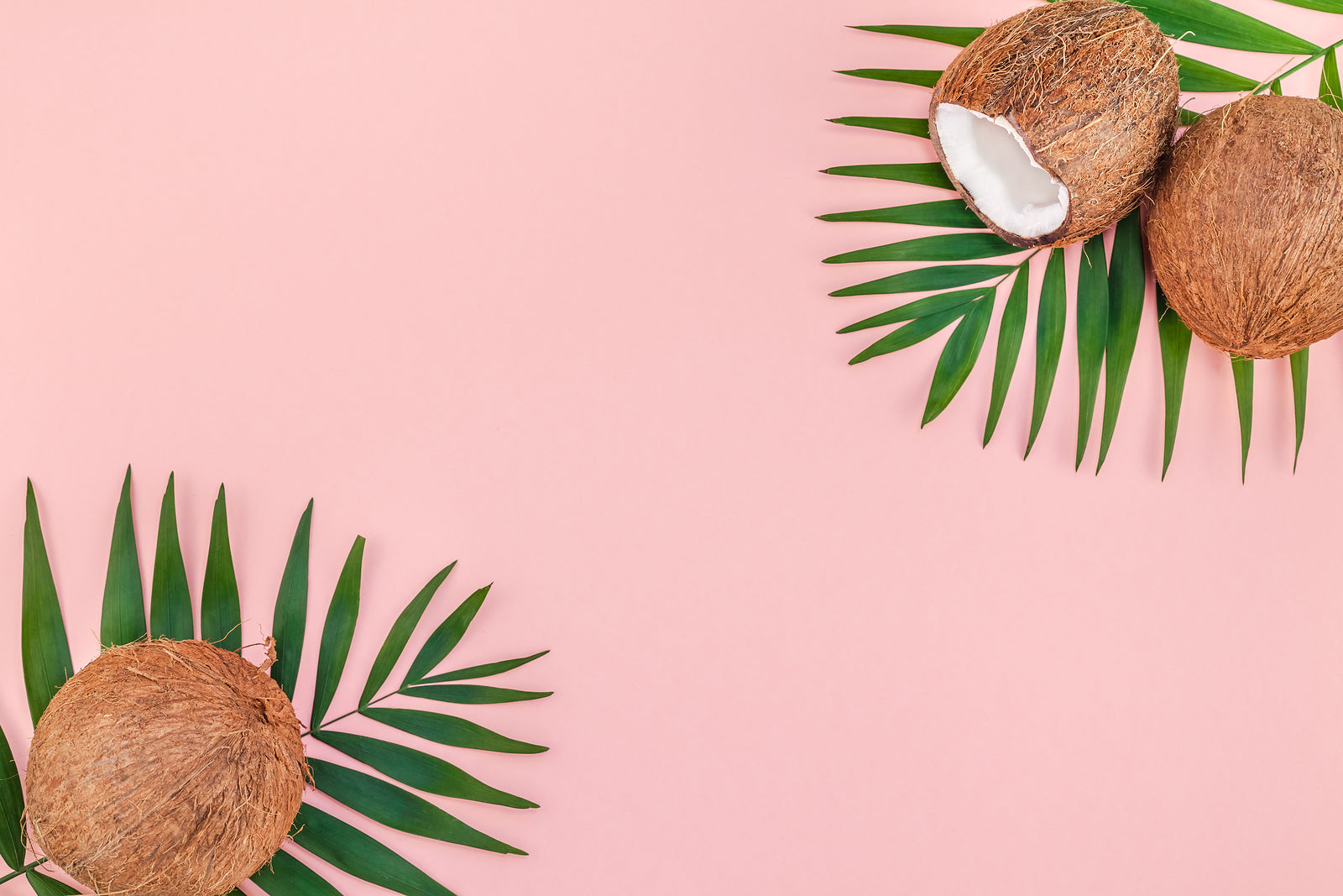 Is coconut good for you?