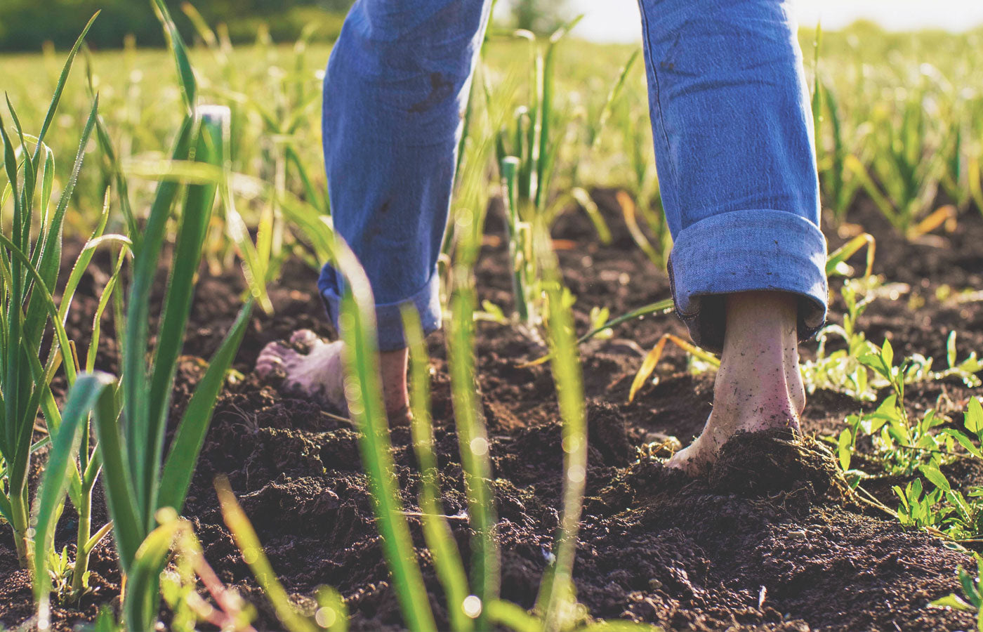 Earthing—how grounded are we?